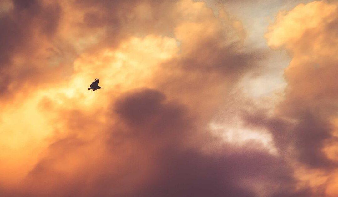 Coordinador de seguridad y salud en obras: obligaciones legales y cuándo es necesario