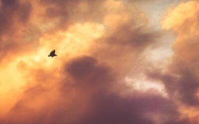 Coordinador de seguridad y salud en obras: obligaciones legales y cuándo es necesario