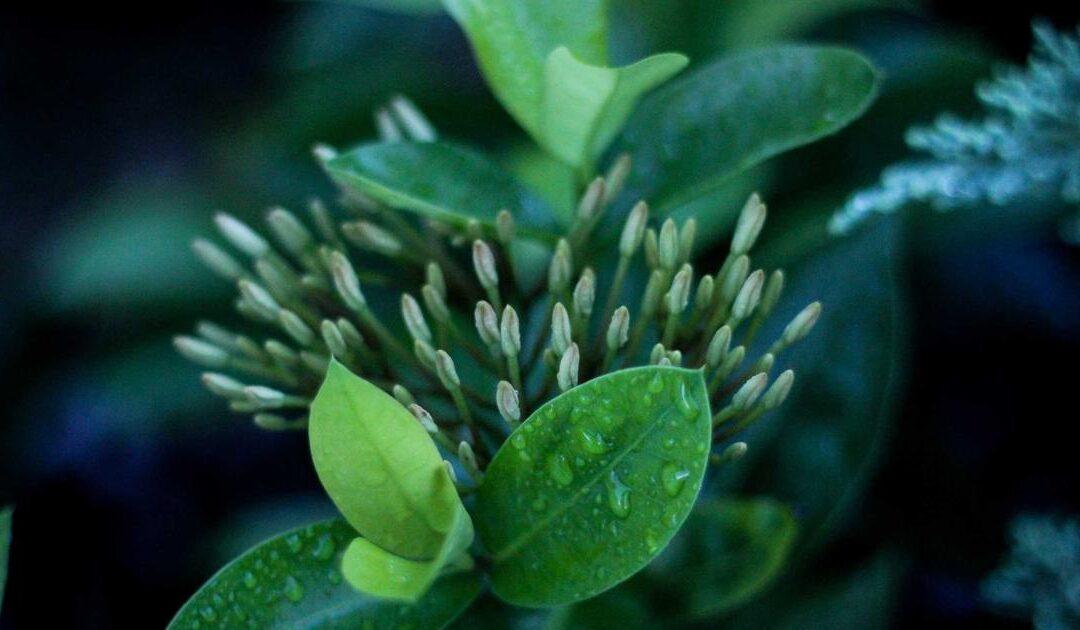 Informe pericial arquitecto: cuándo necesitas uno y qué debe incluir