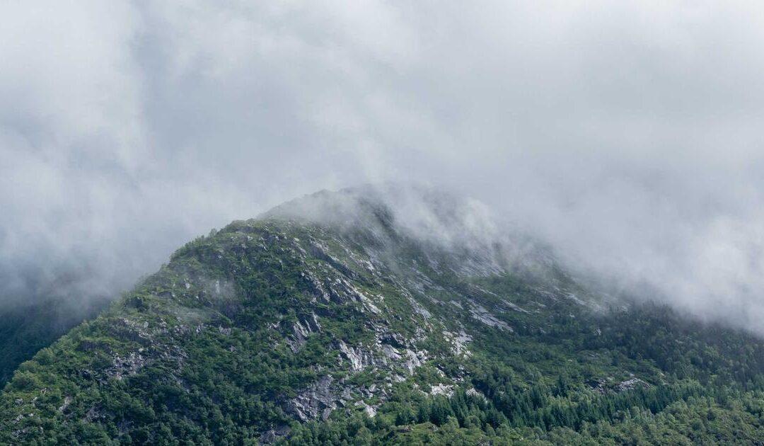 Primera ocupación de vivienda en Madrid: licencia y trámites