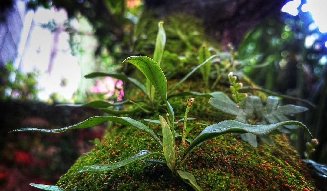 Patologías estructurales en edificios: señales de alarma y soluciones