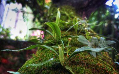 Patologías estructurales en edificios: señales de alarma y soluciones