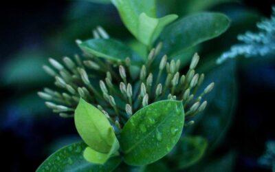 Reforma de hotel boutique en Madrid: claves de diseño y normativa hotelera