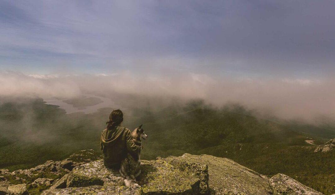 Vecino que hace obras sin licencia: qué puede hacer la comunidad de propietarios