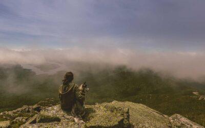 Vecino que hace obras sin licencia: qué puede hacer la comunidad de propietarios