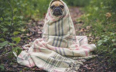 Aislamiento térmico de cubierta plana en Madrid: materiales y rendimiento