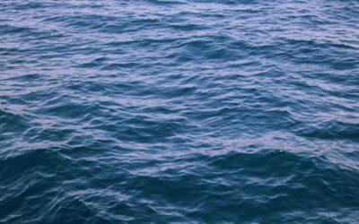 Certificado de eficiencia energetica en Madrid: quien lo hace y cuanto cuesta