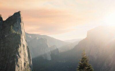 Cubiertas verdes en Madrid: normativa, costes y beneficios reales