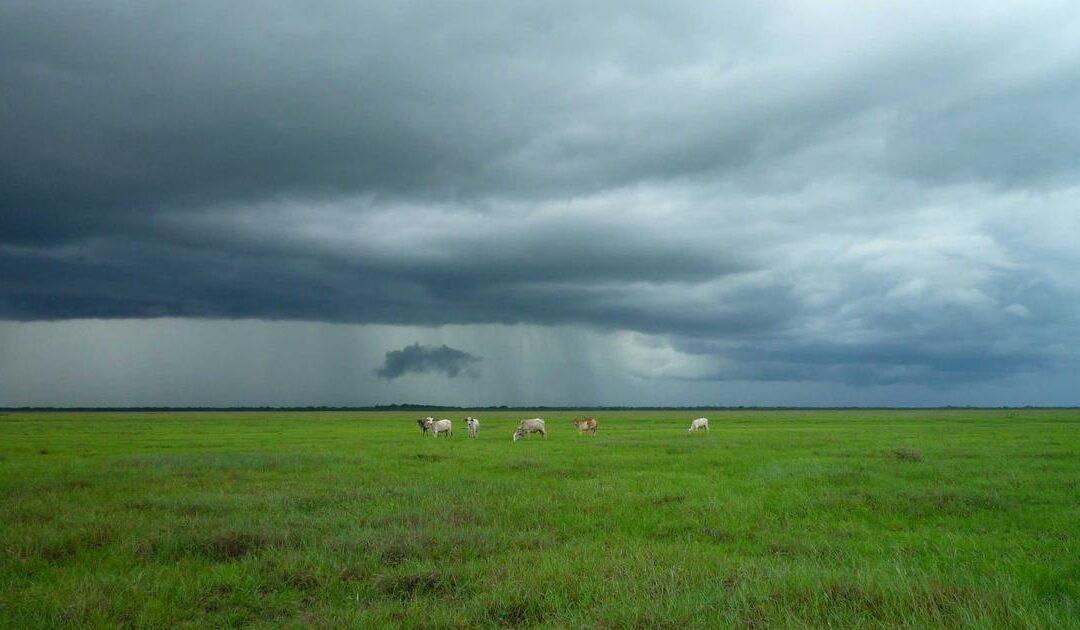 Exceso de cabida en el registro de la propiedad: qué es y cómo solucionarlo