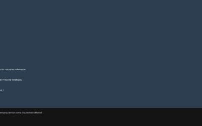 Iluminación natural en reformas de vivienda en Madrid: estrategias, normativa y diseño