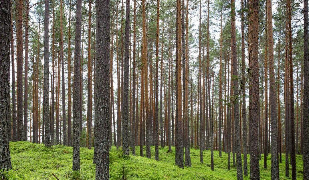 Reforma para revalorizar: qué mejoras tienen mayor ROI en pisos de inversión en Madrid